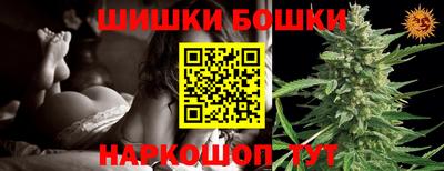 индика Обь