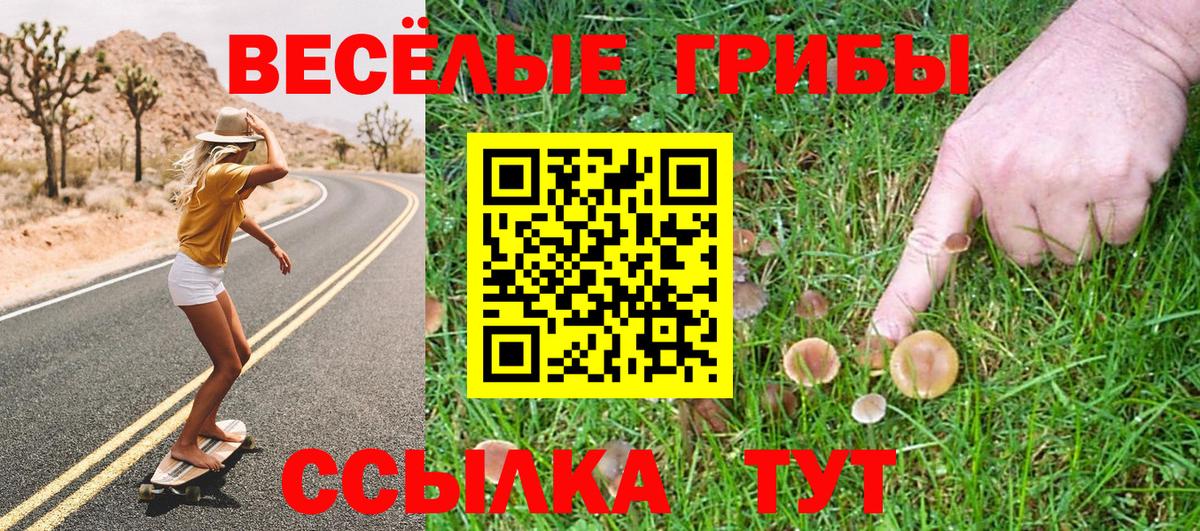 Тайшет  Псилоцибиновые грибы мухоморы  Вход с VPN 